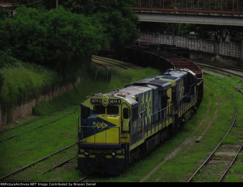 MRSL 3879